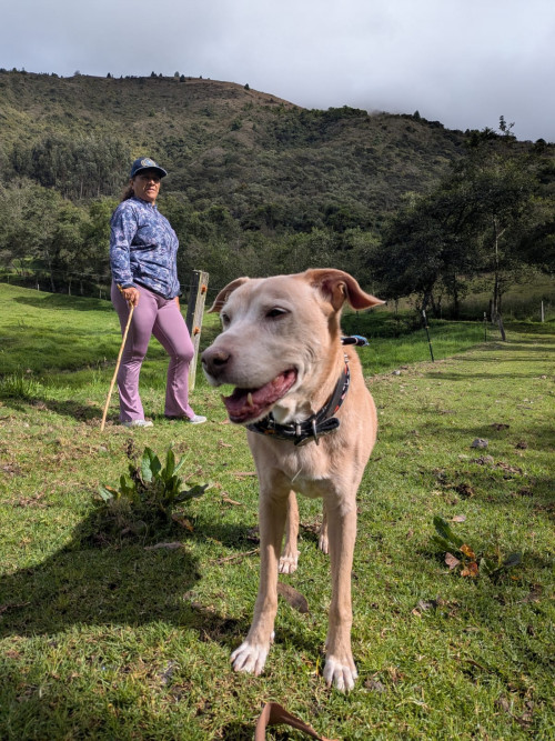 Ramona