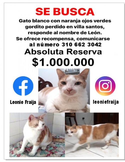 Leon