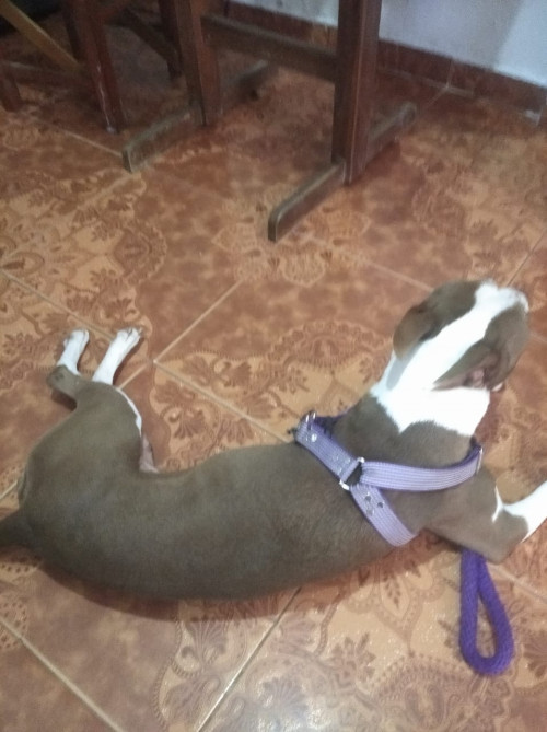 Malú Silveria