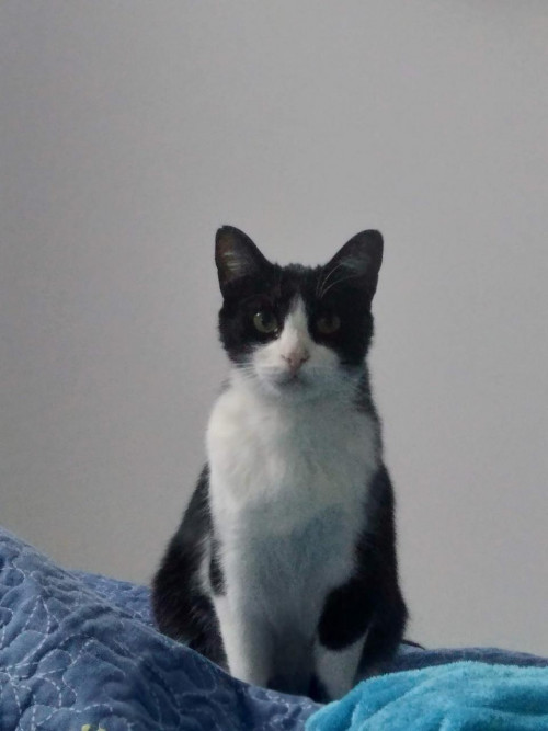 Zeus