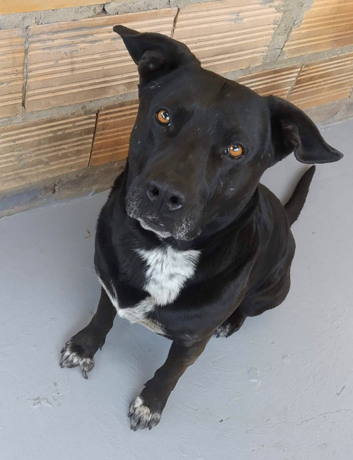 Zeus