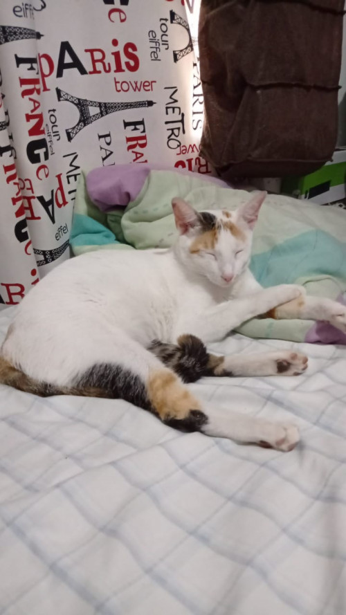 Hera