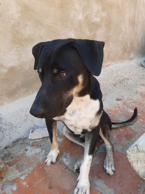 Jack