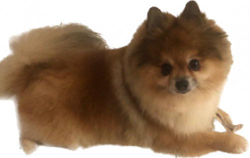 Nano