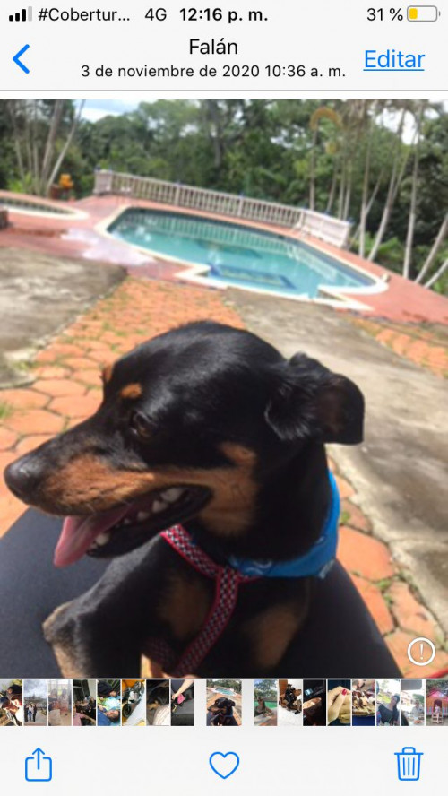 Maggy