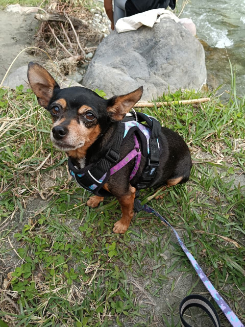 Juanita