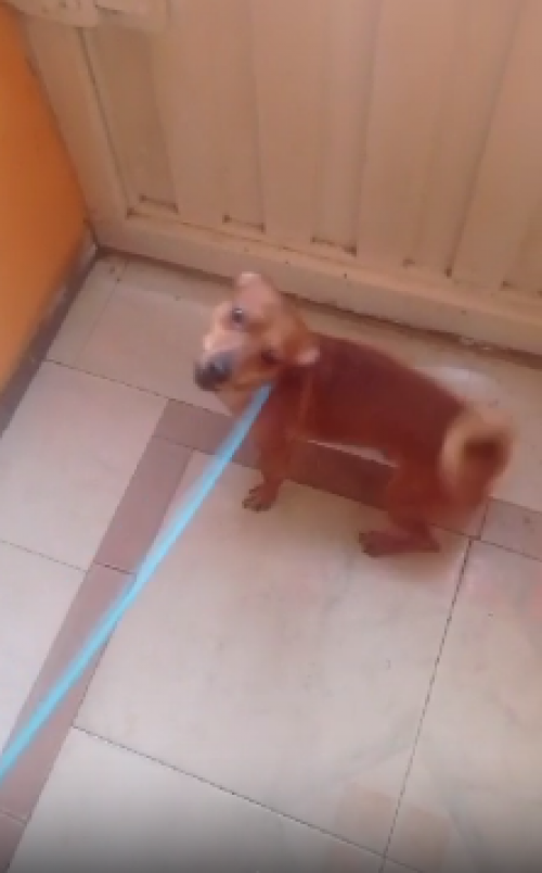 Max