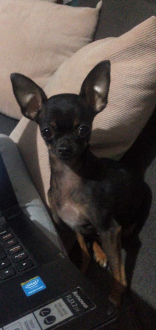 Lupita