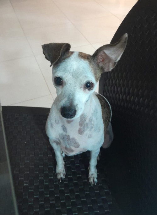 Lupita
