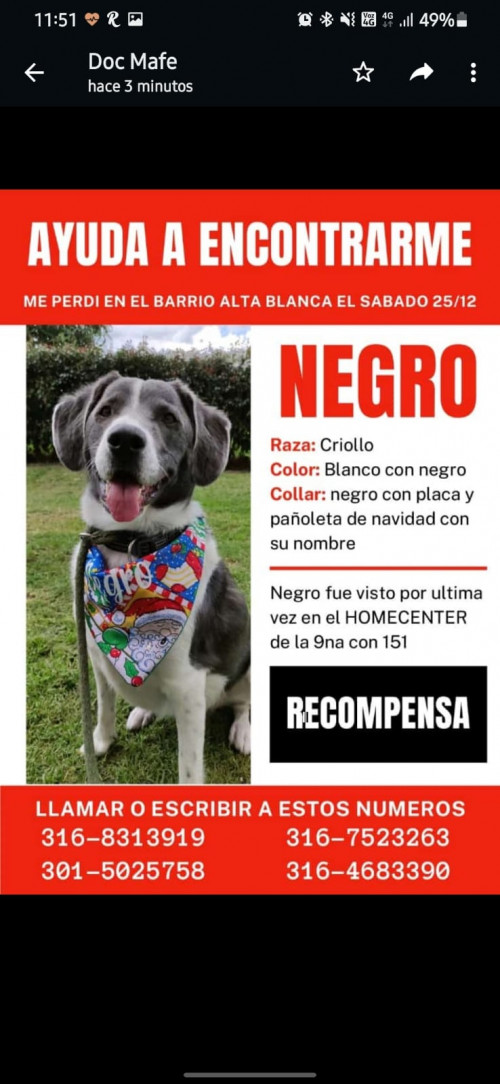 Negro