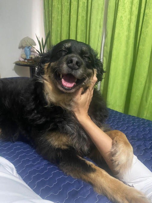 Mia