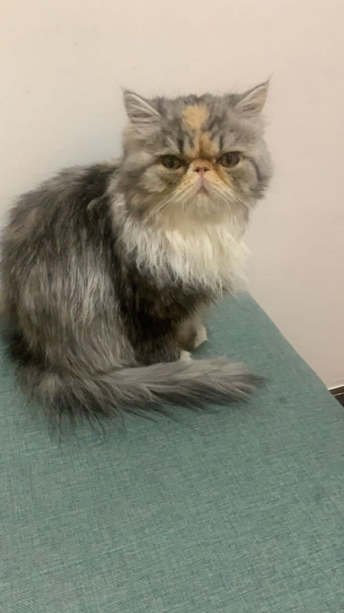 Matilda