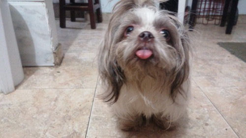 Yue