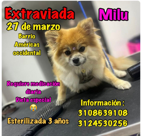 Milú