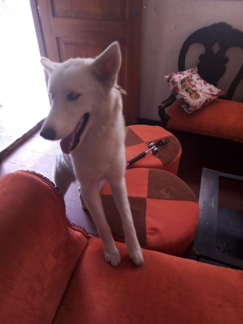 Cloe