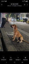 Foto de Apolo en Envigado Antioquia #7