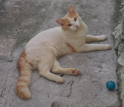 José Luis