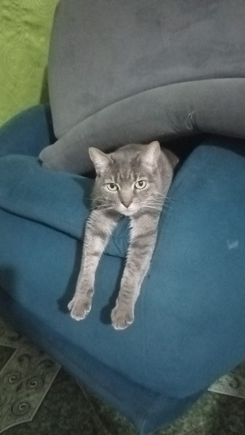 Bimba