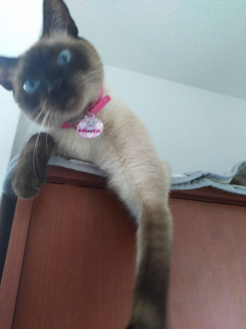 Lalita