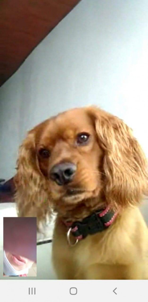 Tobby