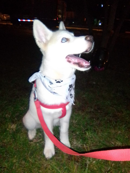 Max