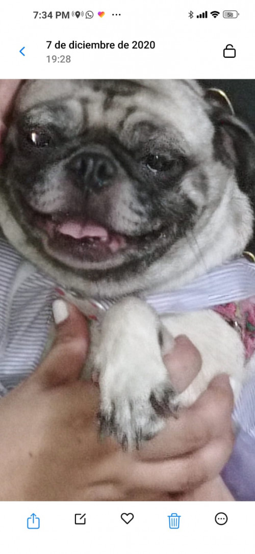 Lulu
