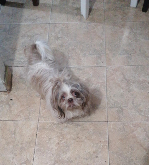 Yue