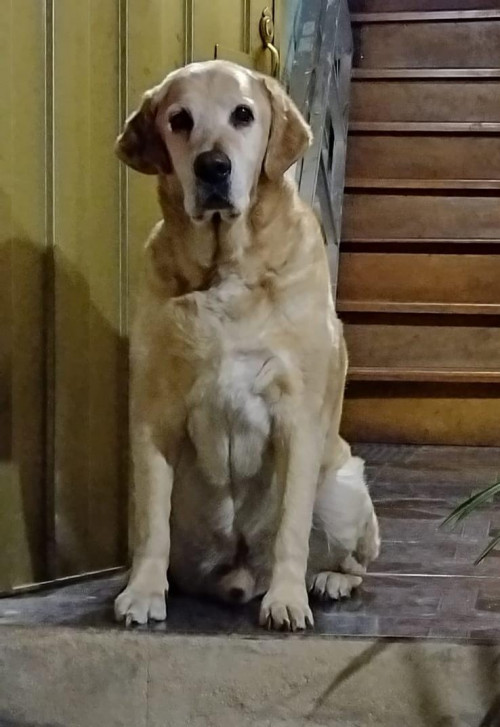 Max