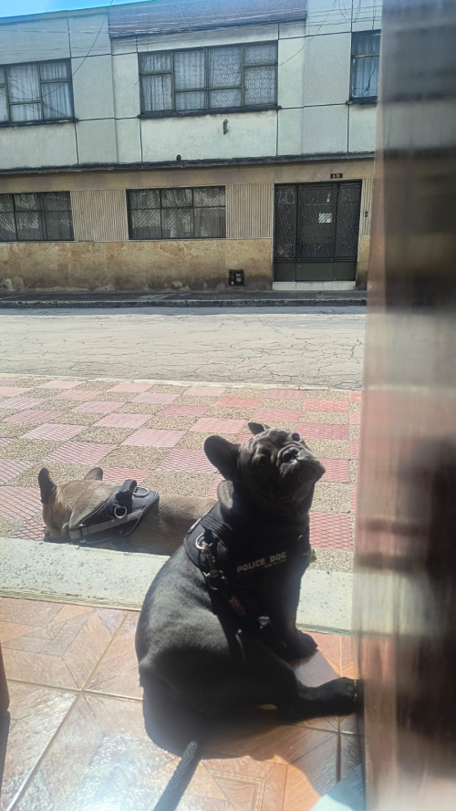 Maxi