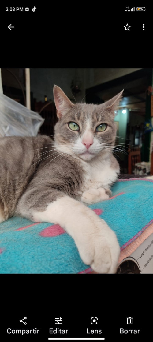 Darwin