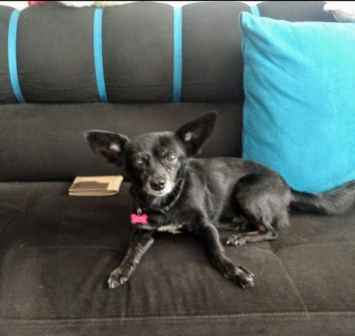 Lola