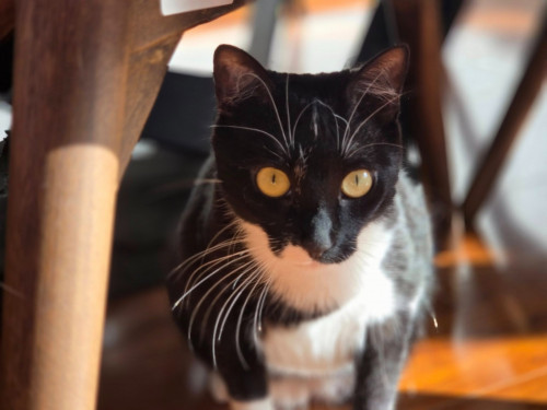 Luna