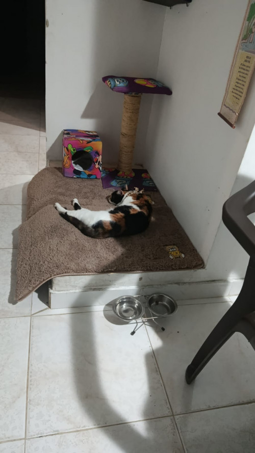 Luna
