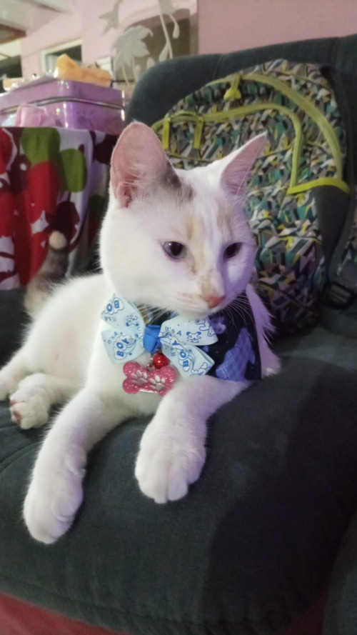 Mia