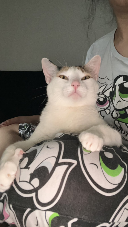 Nina