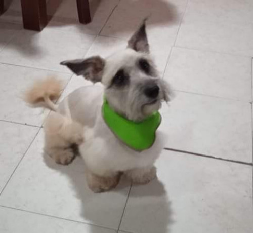 Coky