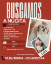 Foto de Nucita en Yopal Casanare #1