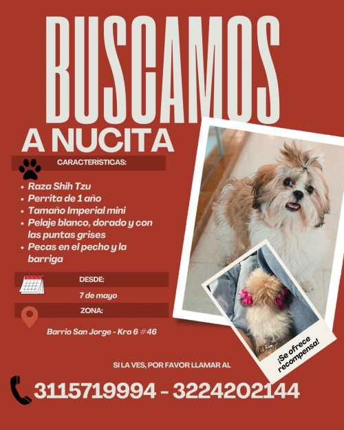 Nucita