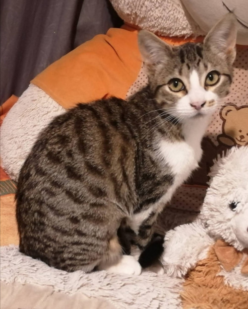 Luna Y Pola