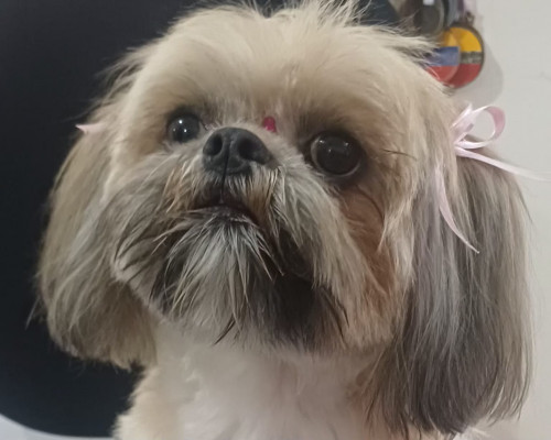 Mia