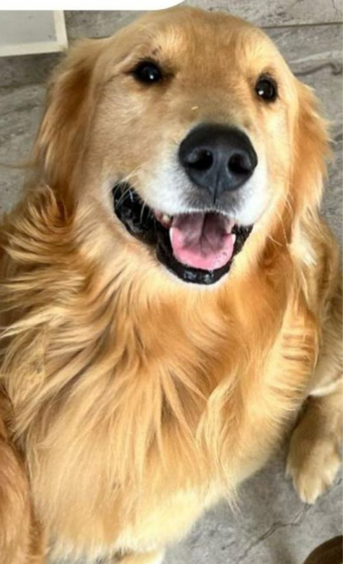 Lennon
