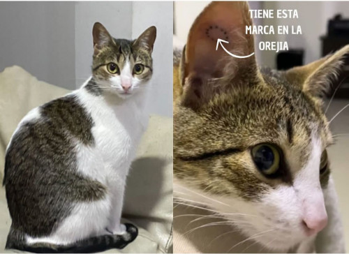 Lupita