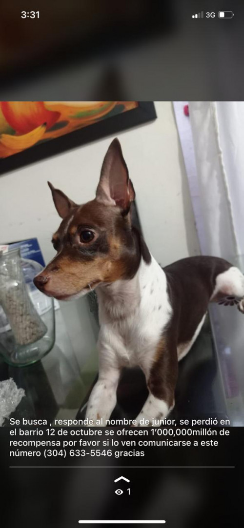 Junior Fernando