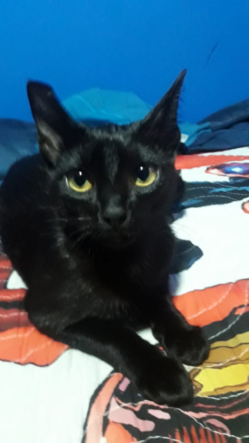 Luna