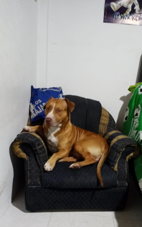 Coco