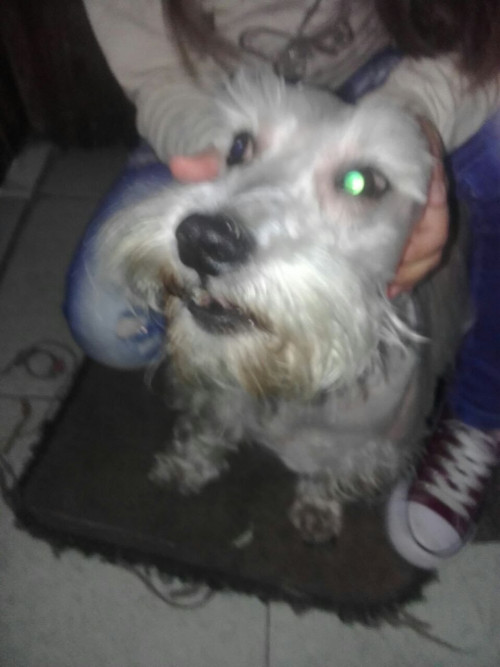 Tobi