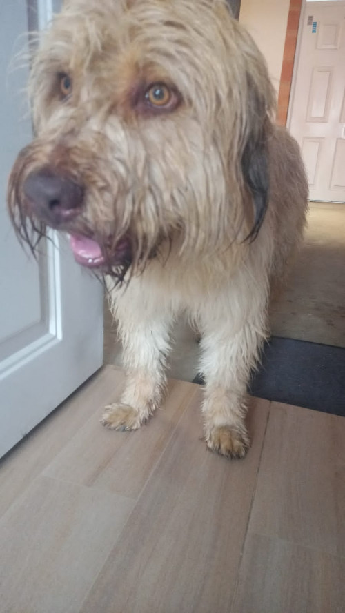 Zeus