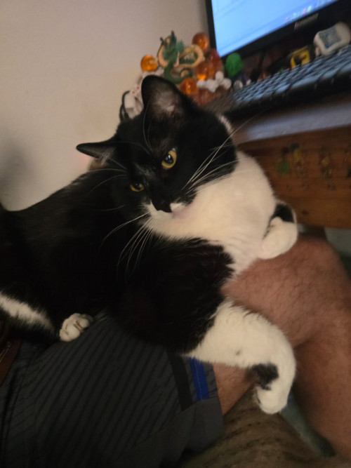 Max