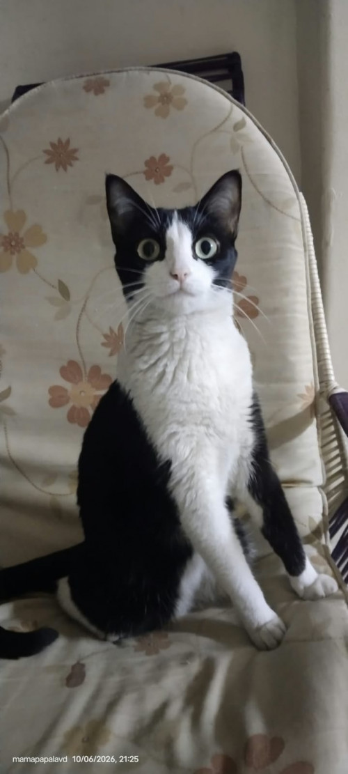 Luna