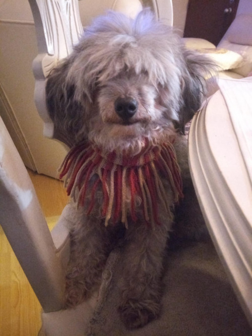 Coco